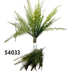 CN – 54033 HELECHO PLANTA h50cm.