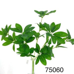 CN – 75060 SCHEFFLERA PLANTA h46cm.