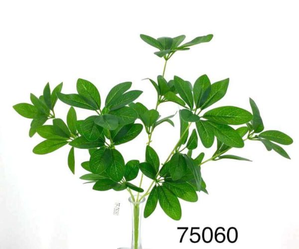 CN – 75060 SCHEFFLERA PLANTA h46cm.