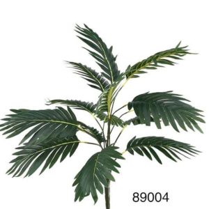 CN – 89004 PALMERA KENTIA h70cm