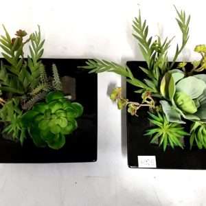 Centro cuadrado c/cactus 17hx21cm