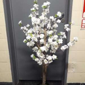 Cerezo arbol h120cm