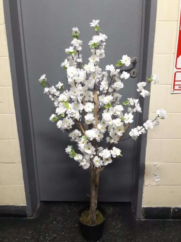 Cerezo arbol h120cm