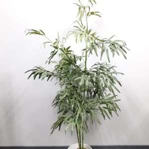 Bamboo planta h160cm