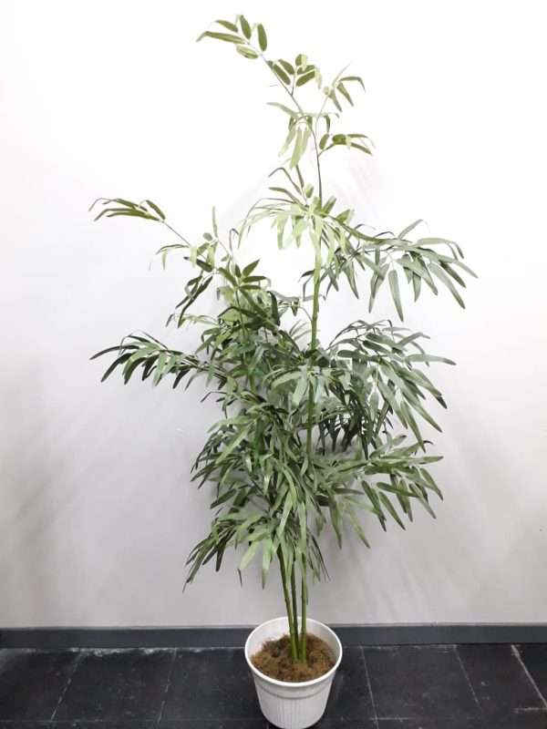 Bamboo planta h160cm