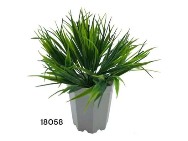 Pasto lacio c/maceta h16cm