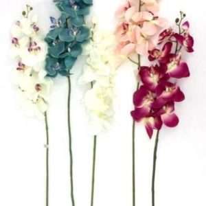 Orquidea vara h95cm