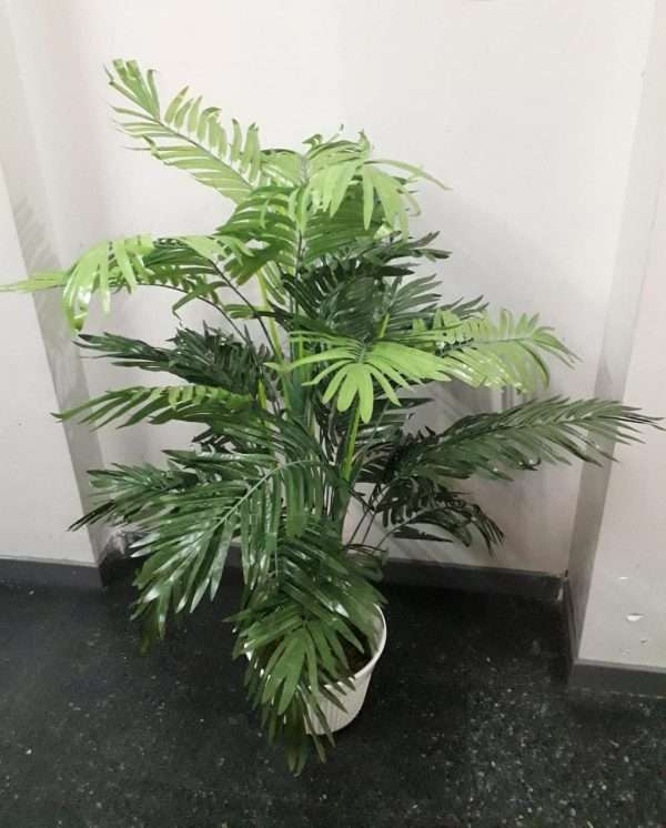 Palmera areca h130cm