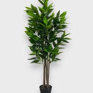 Mango arbol h180cm