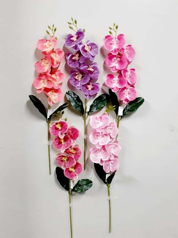Orquidea vara h65cm