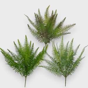 Helecho planta h50cm