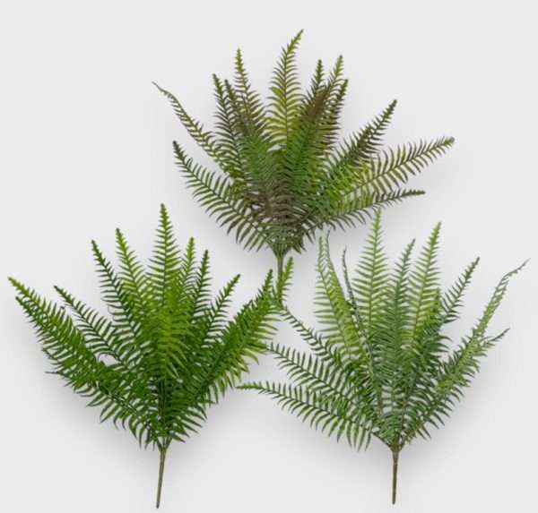Helecho planta h50cm