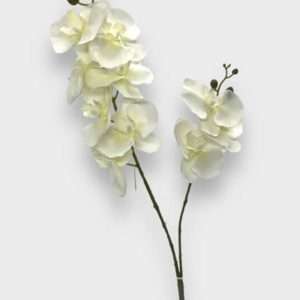 Orquidea vara x2 h63cm