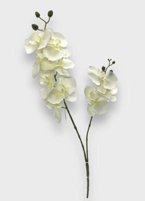 Orquidea vara x2 h63cm