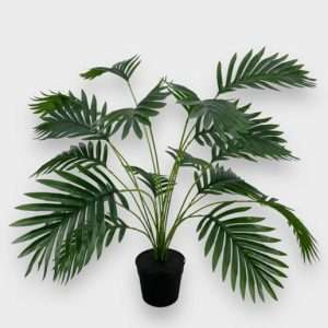 Palmera areca planta x18hojas h55cm