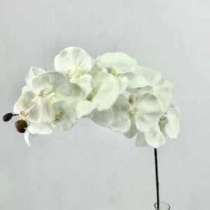 Orquidea vara h62cm