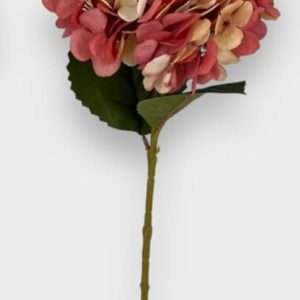 Hortensia otoñal vara x1 h58cm