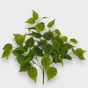 Philo planta h122cm