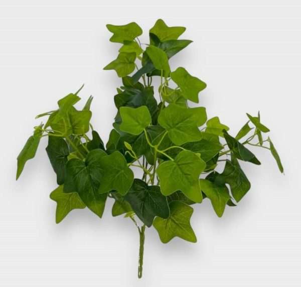 Hiedra planta h48cm