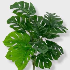Mostera planta x18hojas h60cm
