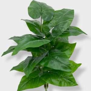 Alocasia planta x18hojas h60cm