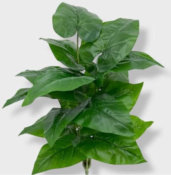 Alocasia planta x18hojas h60cm