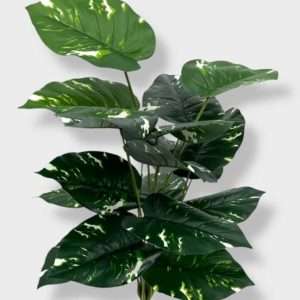 Pothus planta x18hojas h60cm