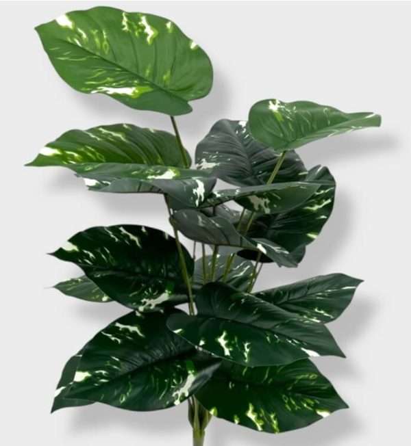 Pothus planta x18hojas h60cm