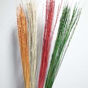 Ray grass