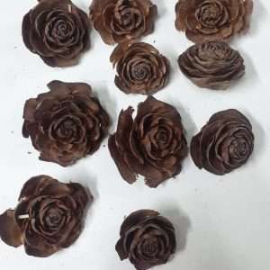 Rosa piedra x10u