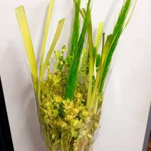 Bouquet grande verde