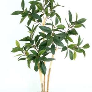 Arbol laurel h90cm