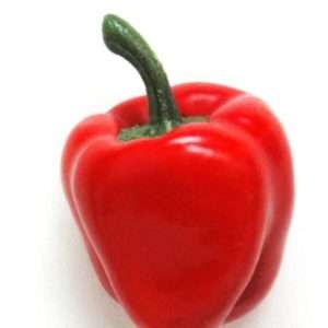 Pimiento aji rojo 11cm