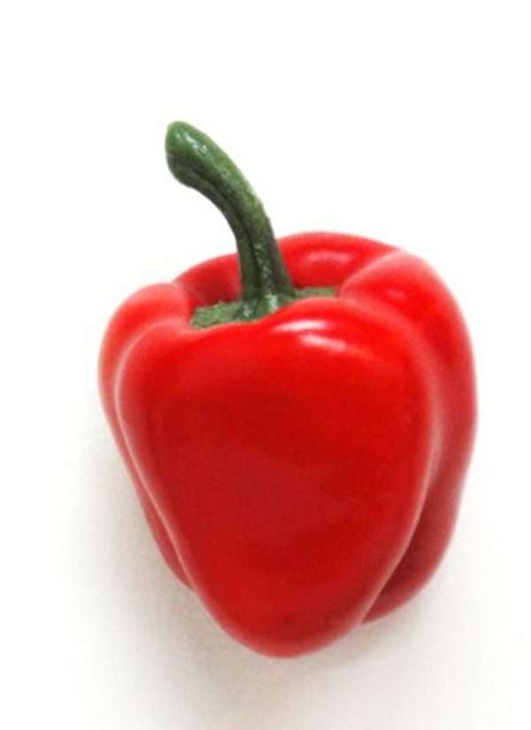 Pimiento aji rojo 11cm