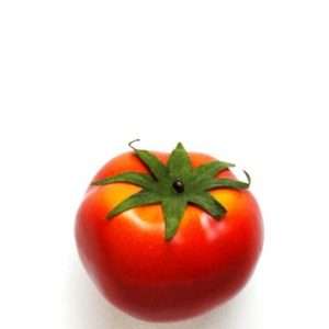 Tomate 8cm