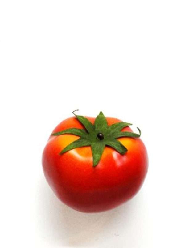 Tomate 8cm