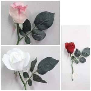 Rosa vara h30cm