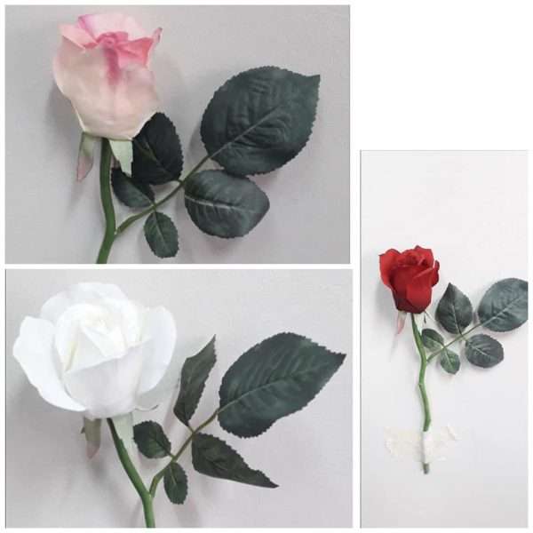 Rosa vara h30cm
