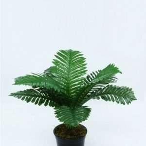 Mini areca planta h40cm