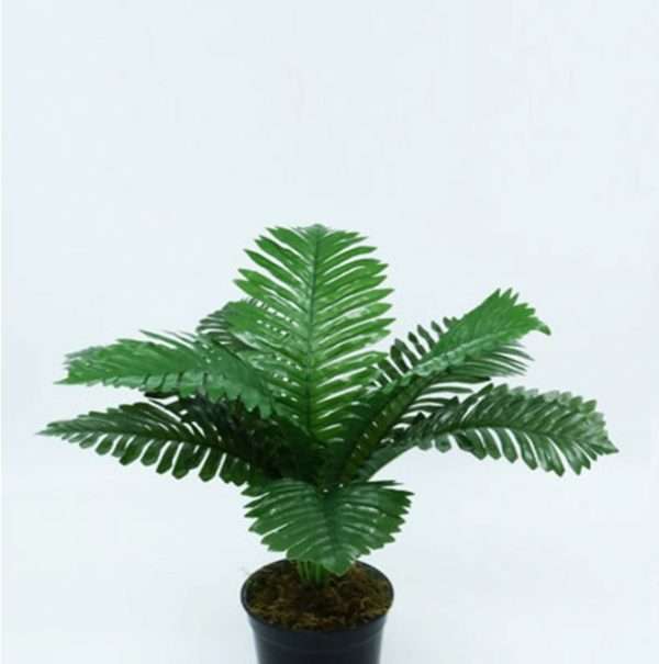 Mini areca planta h40cm