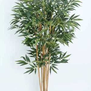 Bamboo planta h150cm