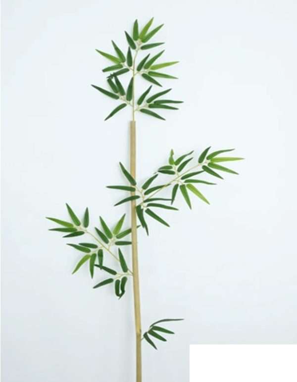 Caña bamboo h170cm
