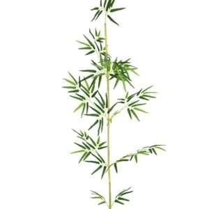 Caña bamboo h240cm