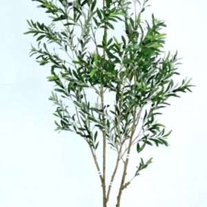 Arbol olivo h240cm