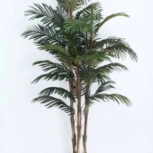 Palmera planta h180cm