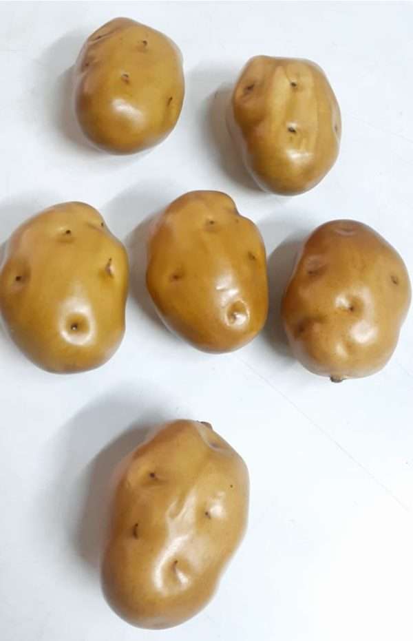 Papa 9cm