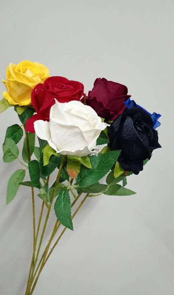 Rosa terciopelo vara x1 h50cm