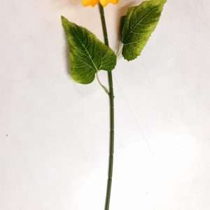 Girasol vara