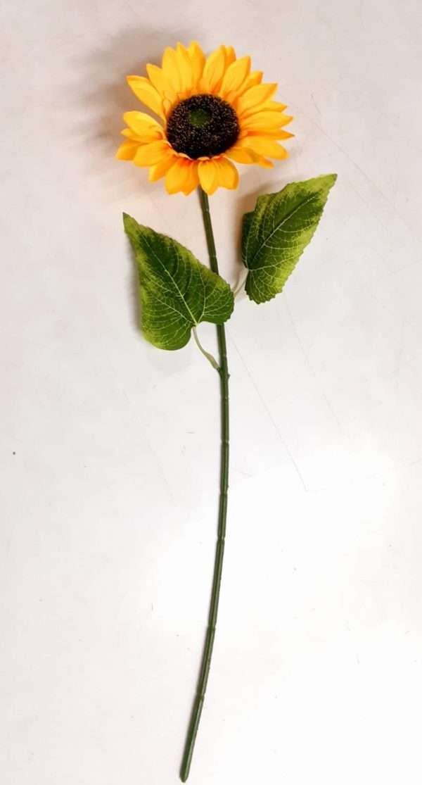 Girasol vara
