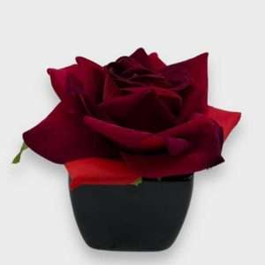 Rosa afelpada c/maceta h8cm